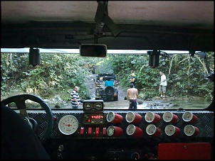 -gafanhoto-021.jpg