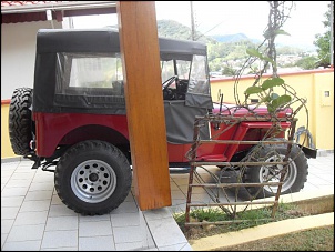 -sdc12537.jpg