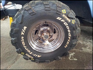 Roda livre AVM-avm-02.jpg