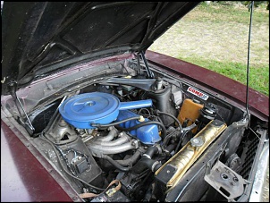 So pra quem tem Willys com Falcon-sam_2378.jpg