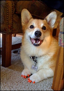 -pedicuure.jpg