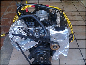 -diabao-7-.jpg