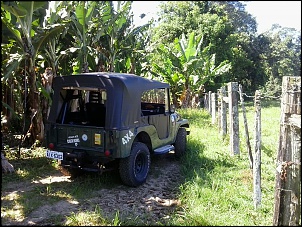 Iniciante com Jeep Willys-20140120_155305.jpg