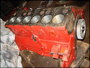 Motor BF 161 falhando.-imagem-031.jpg