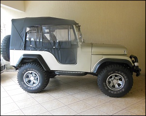 Depois de pensar muito - Comprei um Ford Willys 1980.-dscn1415.jpg