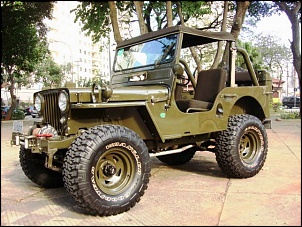 Qual cor pintar meu CJ5?-veiculox4_1_3g.jpg