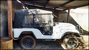 Jeep Willys 1962 - De volta a ativa !!!-jeep-parado.jpg