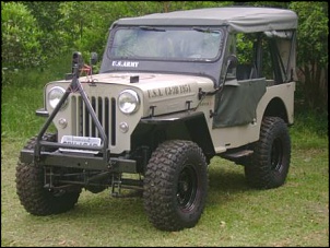 Militarizando o CJ 3B 1954 - Famoso cara de cavalo-jeep-willys-dia-22-10-11-053.jpg