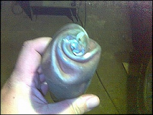 -carda-dianteiro.jpg