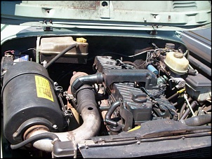 MWM 6.07 TCA em CJ-5-000_0603.jpg