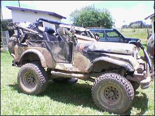 Gaiola.... tem que usar!!-imagem_066__759.jpg