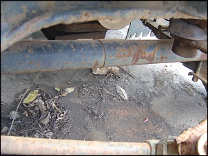 Jeep 4x2 original-dsc01955.jpg