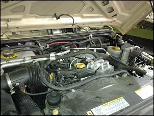 Jeep J8-13042011404.jpg