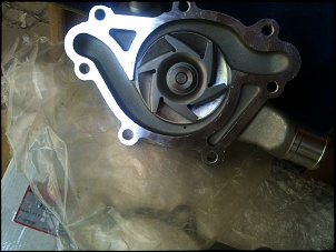 Resgatando Grand Cherokee 5.2 Limited 94/95 com requinte.-f17.jpg
