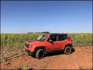 Jeep Renegade com Pneus BFGoodrich-img_4574.jpg