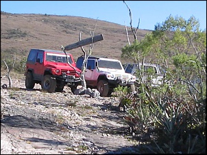 Fotos dos Jotas-fragaria-minas-gerais-e-penedo-rio-de-janeiro-17-.jpg