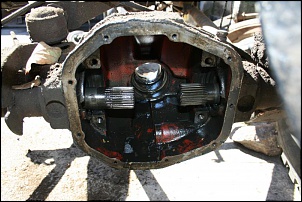 JPX &quot;Veterano Pacificador&quot;-img_8578.jpg