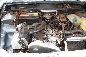 JPX com motor Peugeot diesel 1.9 dw8-img_9933web.jpg