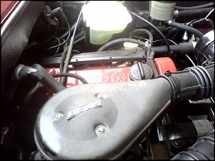 JPX &quot;Veterano Pacificador&quot;-nosso-jpx-4.jpg