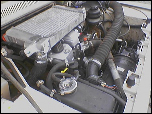 JPX Cabine Dupla 2.8-051102_171856.jpg