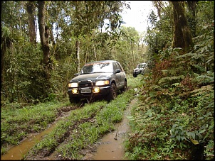 Cavocando com a Sportage-trilha-012.jpg