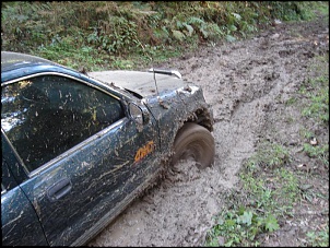 Cavocando com a Sportage-trilha-033.jpg