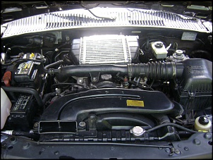 4x4 do sportage-dsc04670.jpg