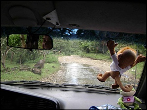 -imagem-017.jpg