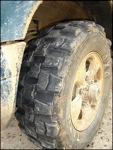 Fotos Sportage-tatu-012.jpg