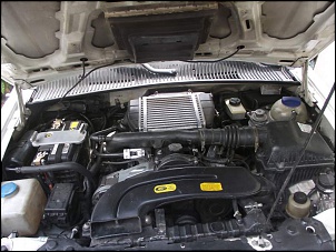 Sportage fervendo-dscf4719.jpg