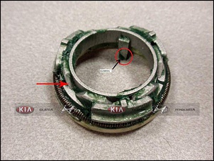 -roda-livre-sportage.jpg