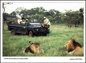 -jipe-safari-giba.jpg