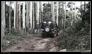Fotos Defender-img_7767.jpg