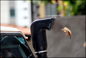 Defender 110 - relato e problemas-safari-snorkels2.jpg