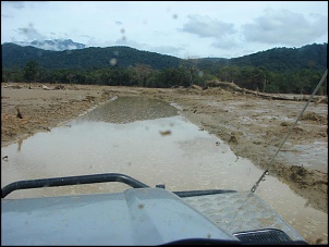 -morretes-floresta-007.jpg