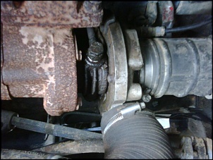 -img00187-20111027-0912.jpg