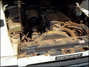 Motor da Land Rover Defender 90 1998-100_0334.jpg