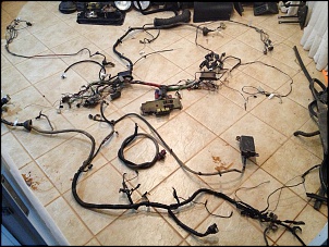 Agora com uma 90 e uma 110 em casa!!!!-img_2424.jpg