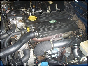 -ssl10032.jpg