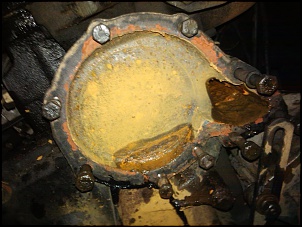 enquete kilometragem motor tdi 300-bombadagua-1.jpg