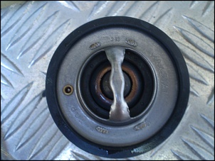 enquete kilometragem motor tdi 300-pa080259.jpg
