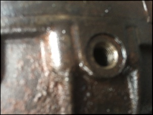 -image3.jpg