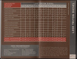 -triton-diesel.jpg