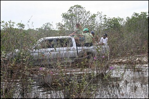 L 200 triton-impressoes dessa pkp.-phoca_thumb_l_trilha_052_iiqoffroad.jpg