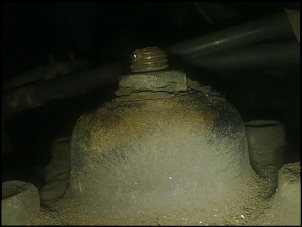-23062011207.jpg
