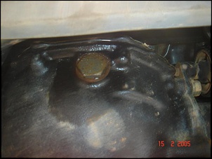 Pajero TR4 - Sinal Vazamento Diferenciais e outras tralhas...-dsc00376.jpg