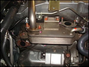 EGR Killer - L200 Triton.-dsc01737.jpg