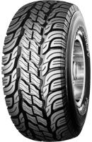 Pneus BFGoodrich(MUD Terrain T/A KM) na TR4 Servem ?-geolander_134.jpg