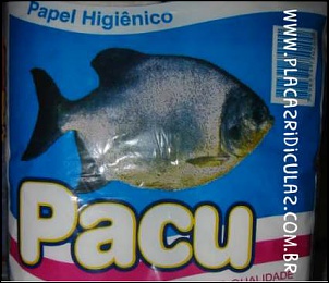 -placa483.jpg