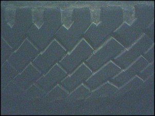 -11-10-05_1431_231.jpg